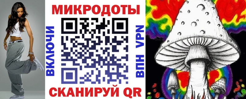 Галлюциногенные грибы Psilocybe Вуктыл